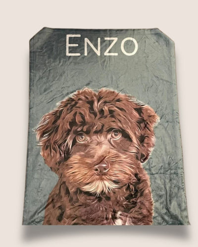 A blanket with your pet