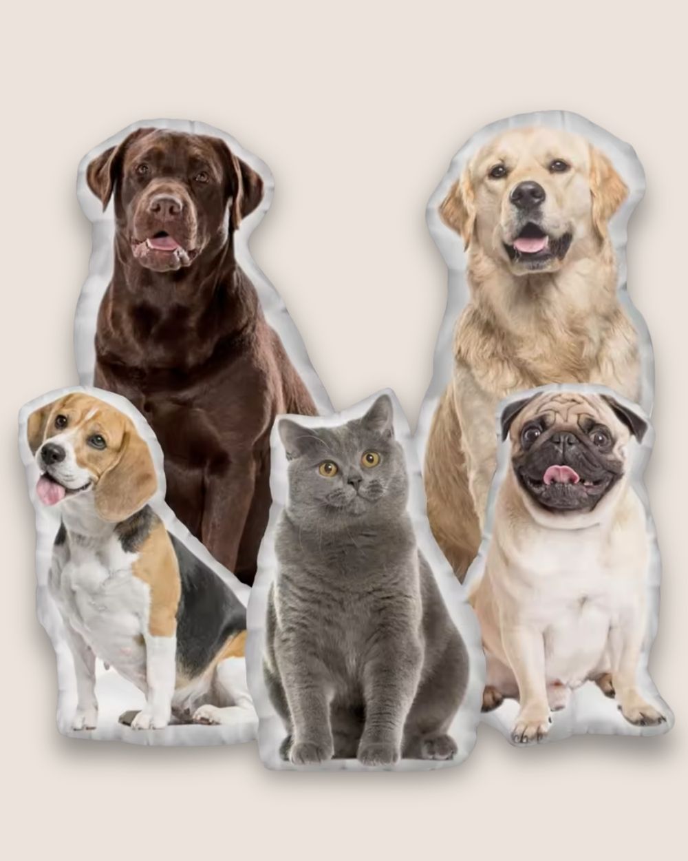 A pillow with your pet