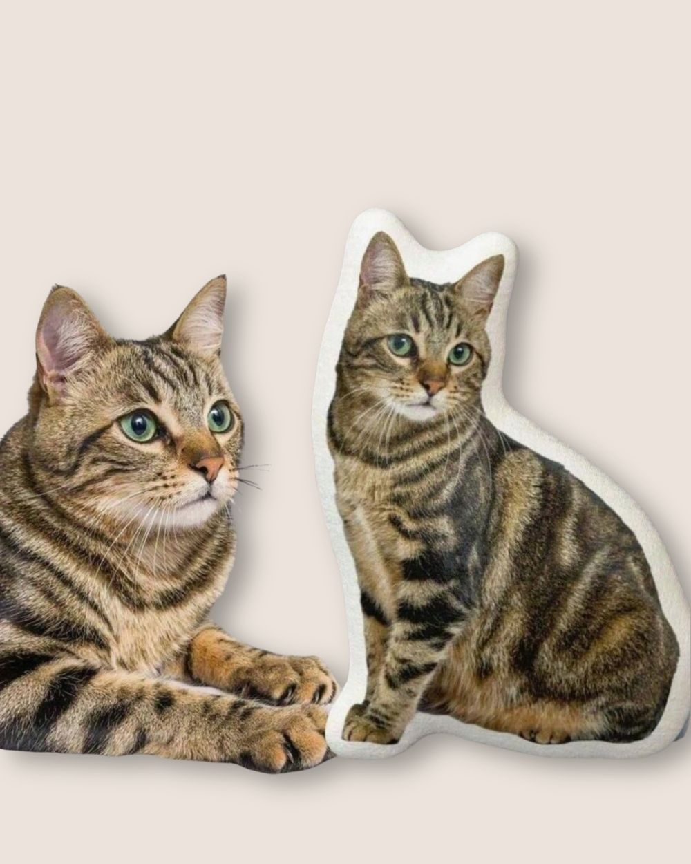 A pillow with your pet