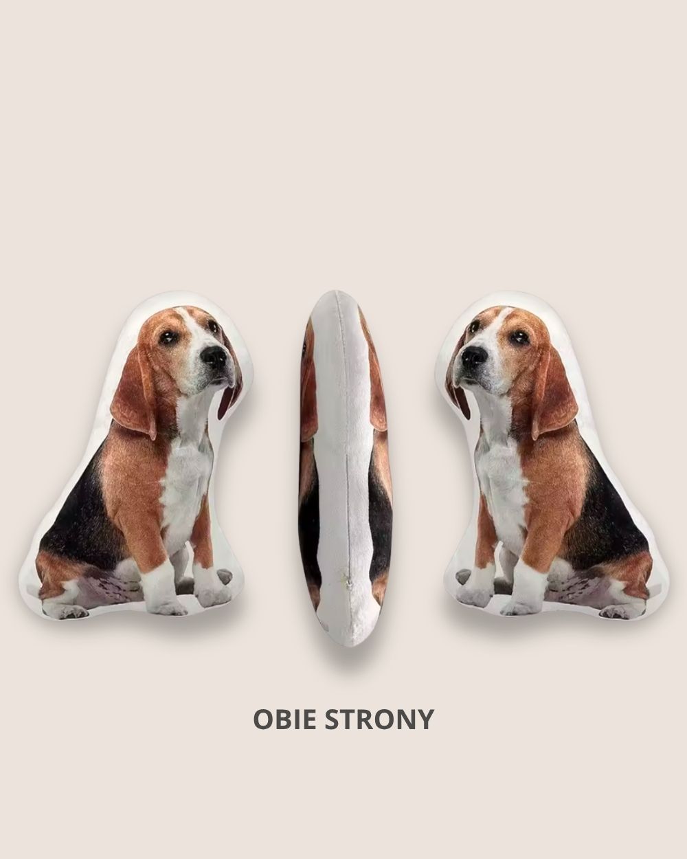 A pillow with your pet