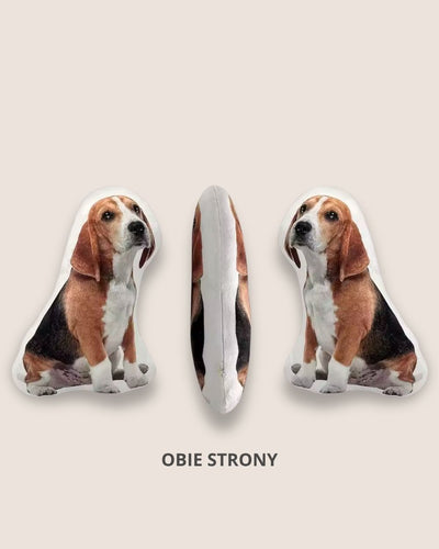 A pillow with your pet