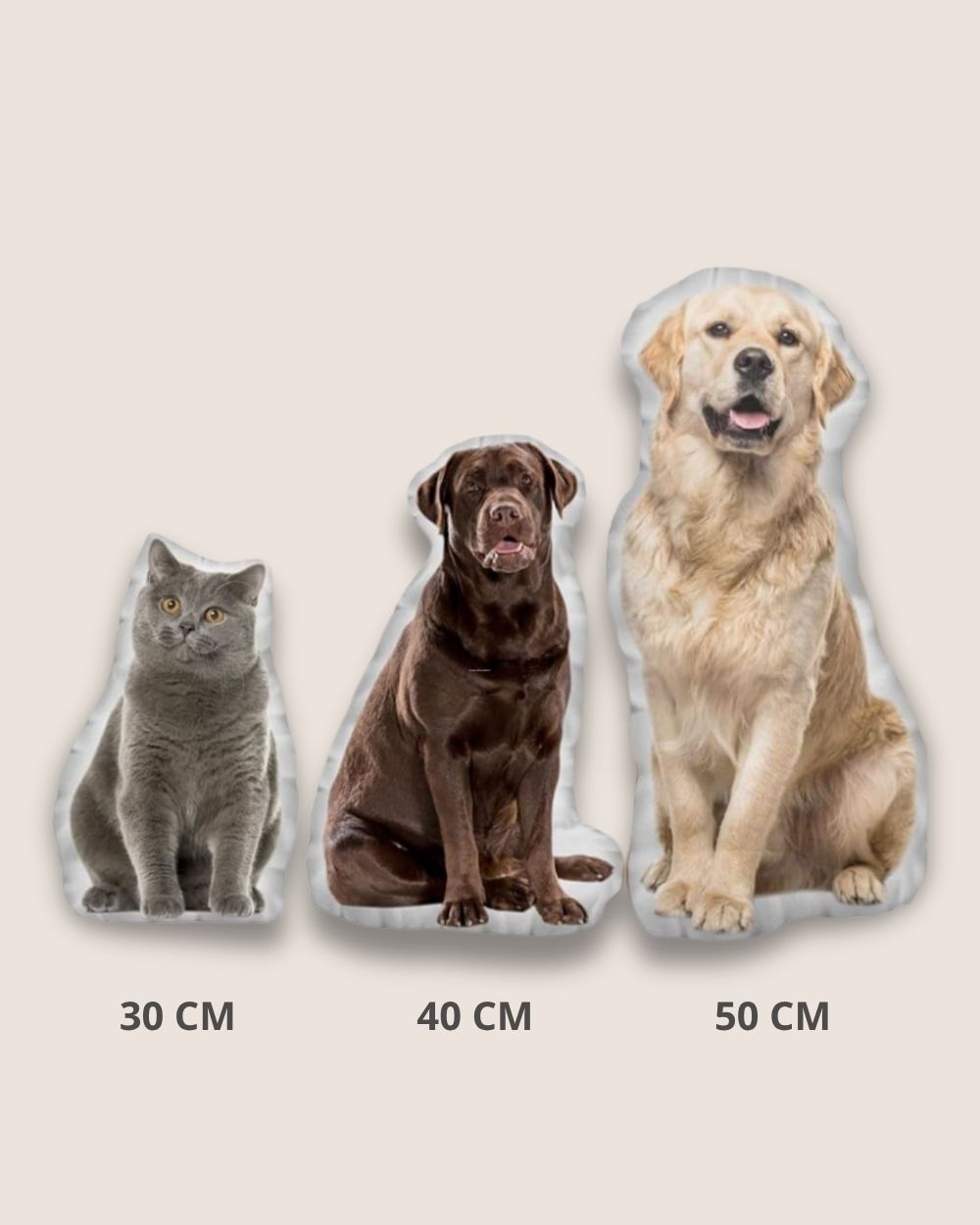 A pillow with your pet