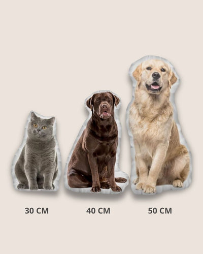 A pillow with your pet