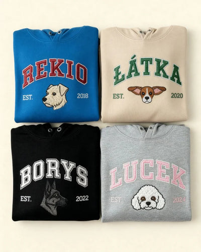 Embroidered University Hoodie