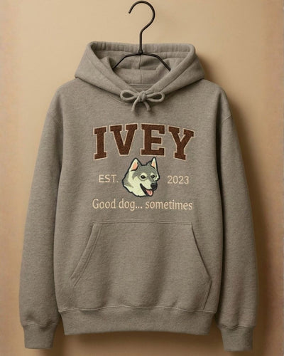 Embroidered University Hoodie