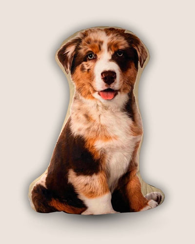 A pillow with your pet