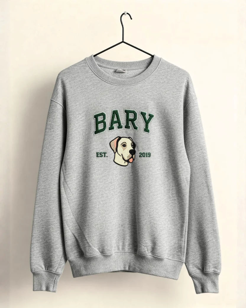 Embroidered University Sweater