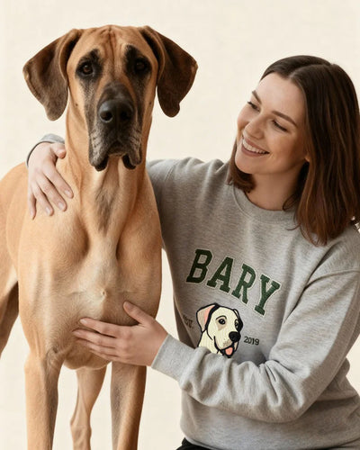 Embroidered University Sweater